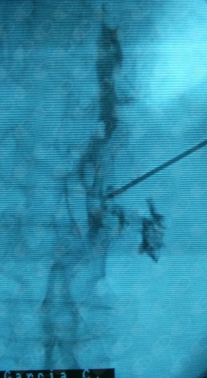 Jorge García Andreu-9