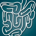 Dr. Alejandro Altamirano Peña