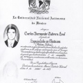 Ampliar imagen: certificate 2