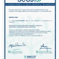Ampliar imagen: certificate 3