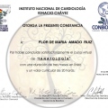 Ampliar imagen: certificate 4