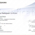 Ampliar imagen: certificate 11