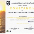 Ampliar imagen: certificate 45