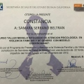 Ampliar imagen: certificate 8