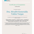 Ampliar imagen: certificate 16