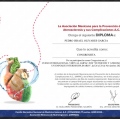 Ampliar imagen: certificate 17