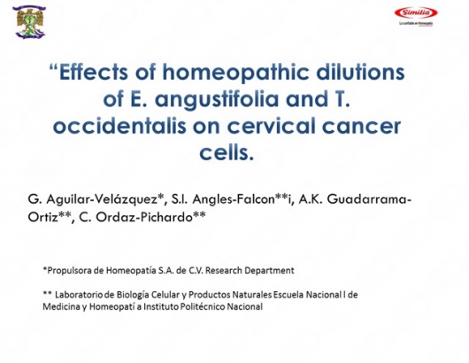 Gustavo Aguilar Velazquez-13