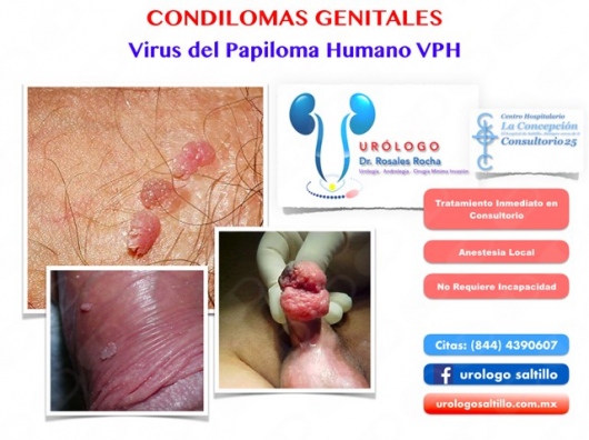 Guillermo Enrique Rosales Rocha-13