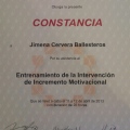 Ampliar imagen: certificate 5