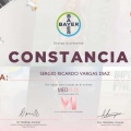 Ampliar imagen: certificate 2
