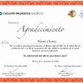 Ampliar imagen: certificate 29