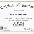 Ampliar imagen: certificate 127