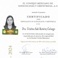 Ampliar imagen: certificate 4