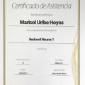 Ampliar imagen: certificate 24
