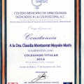 Ampliar imagen: certificate 16