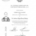 Ampliar imagen: certificate 4