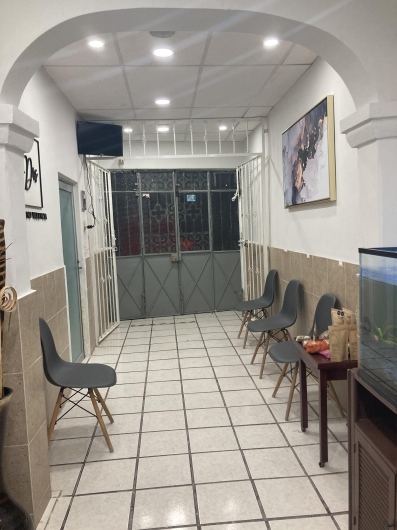 María Guadalupe Moreno Valencia-5