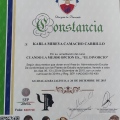 Ampliar imagen: certificate 22