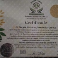Ampliar imagen: certificate 8