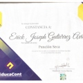 Ampliar imagen: certificate 4