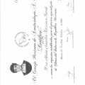 Ampliar imagen: certificate 13