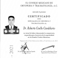 Ampliar imagen: certificate 1