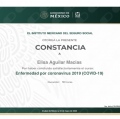 Ampliar imagen: certificate 9