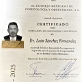 Ampliar imagen: certificate 3