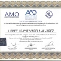 Ampliar imagen: certificate 4