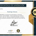 Ampliar imagen: certificate 13