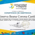 Ampliar imagen: certificate 6