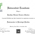 Ampliar imagen: certificate 15