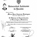 Ampliar imagen: certificate 3