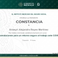 Ampliar imagen: certificate 13