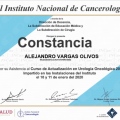 Ampliar imagen: certificate 3