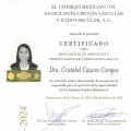 Ampliar imagen: certificate 2