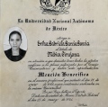 Ampliar imagen: certificate 2