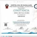 Ampliar imagen: certificate 9