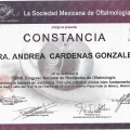 Ampliar imagen: certificate 8