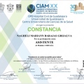 Ampliar imagen: certificate 7