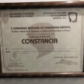Ampliar imagen: certificate 17