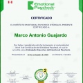 Ampliar imagen: certificate 11
