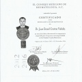 Ampliar imagen: certificate 2