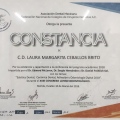 Ampliar imagen: certificate 11
