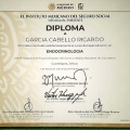 Ampliar imagen: certificate 6