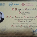 Ampliar imagen: certificate 13