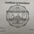 Ampliar imagen: certificate 3