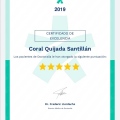 Ampliar imagen: certificate 4