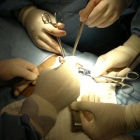 Dra. Armida Martínez Treviño