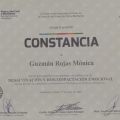 Ampliar imagen: certificate 35